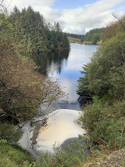 Banagher Glen - Forest Trail
