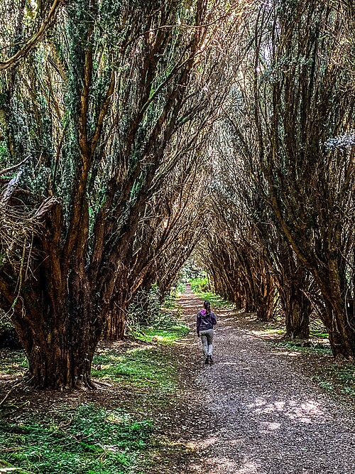 Rossmore Forest Park