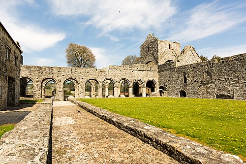 Boyle Abbey
