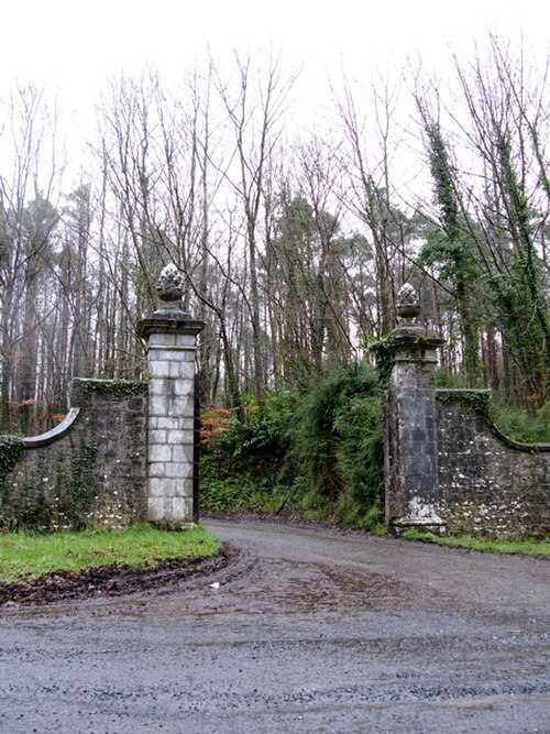 Curraghchase Forest Park