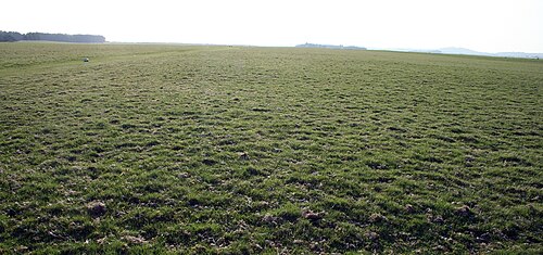 The Curragh — Curragh (ballysax East Ed),curragh (kildare Ed)