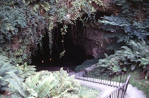 Mitchelstown Cave