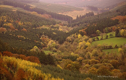 Slieve Bloom Mountains