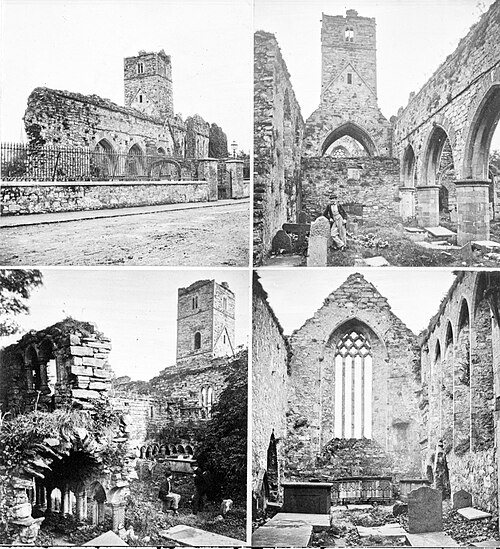 Sligo Abbey