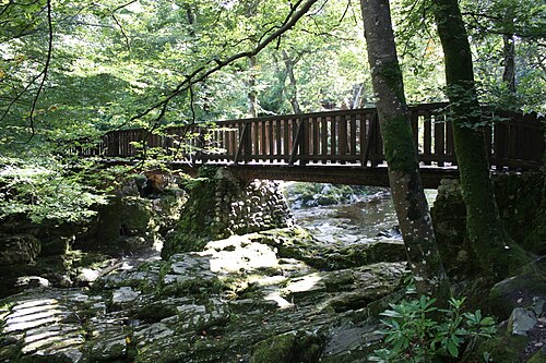 Tollymore Forest