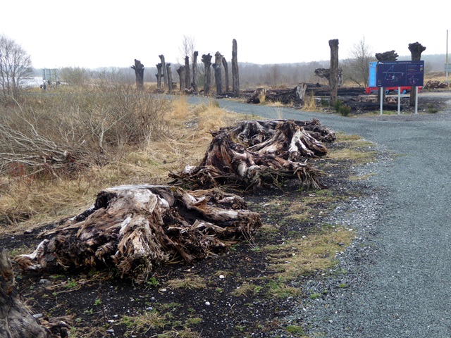 Lough Boora Sculpture Park