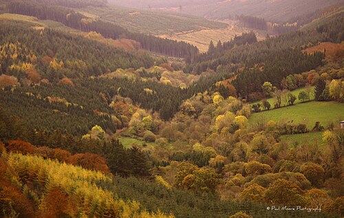 Slieve Bloom Mountains
