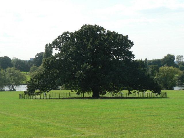 Bexley Charter Oak