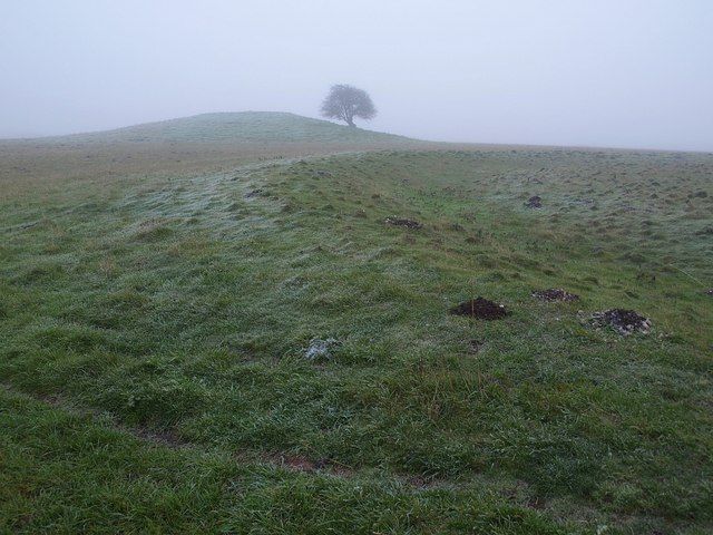 Bush Barrow near Normanton Gorse