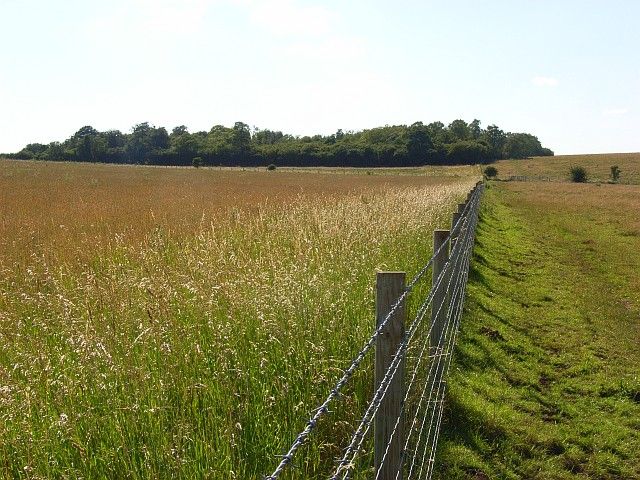 Normanton Down barrows near Stonehenge